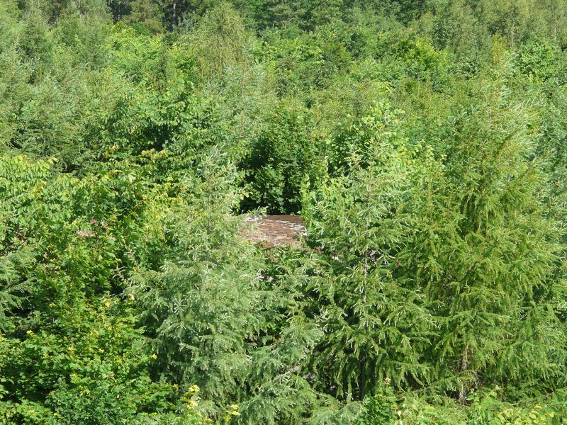 Mamerki-018.jpg
