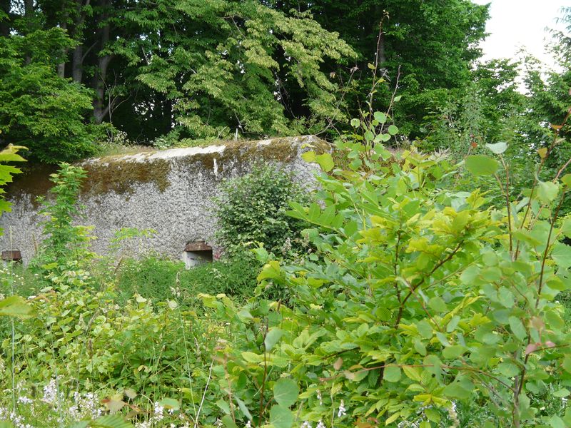 Mamerki-027.jpg