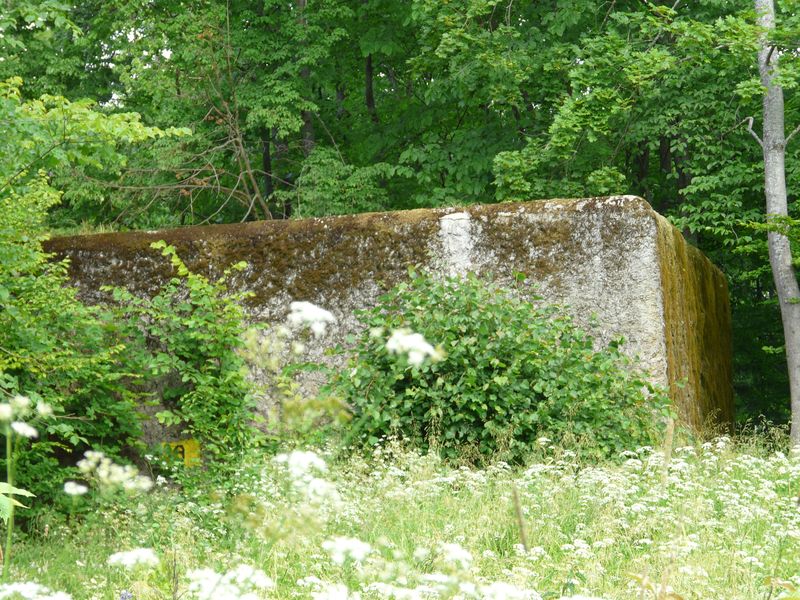 Mamerki-030.jpg