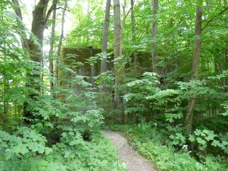 Mamerki-031.jpg