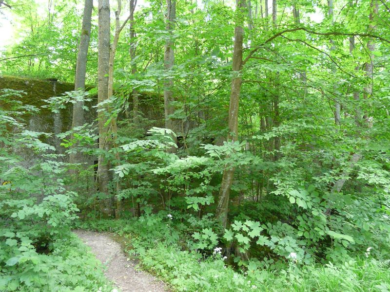 Mamerki-032.jpg