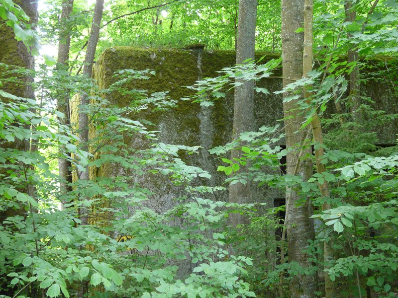Mamerki-033.jpg