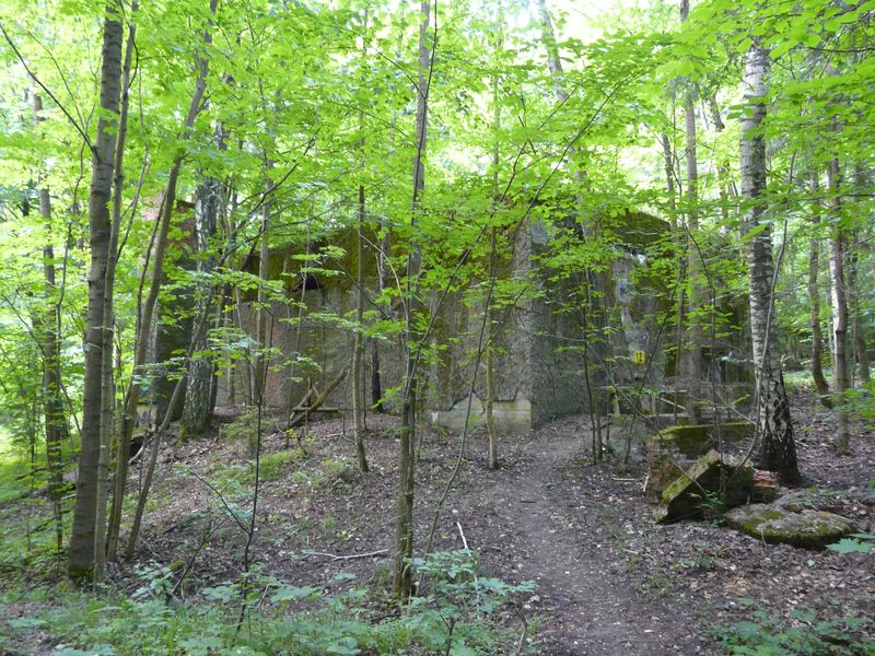 Mamerki-034.jpg