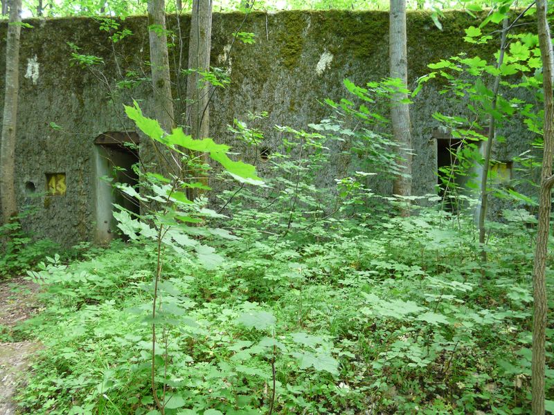 Mamerki-045.jpg