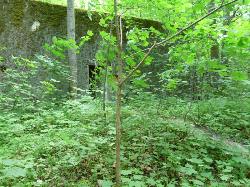 Mamerki-046.jpg
