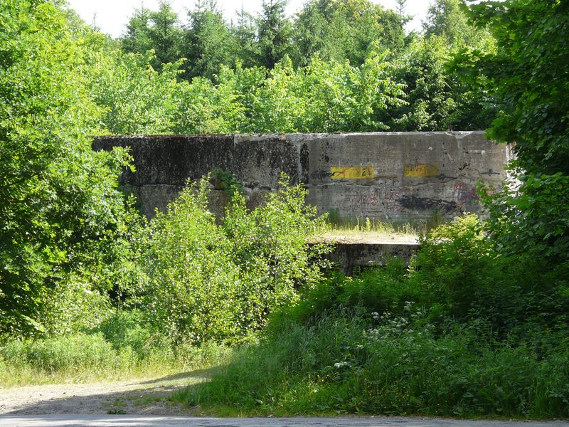 Mamerki-048.jpg