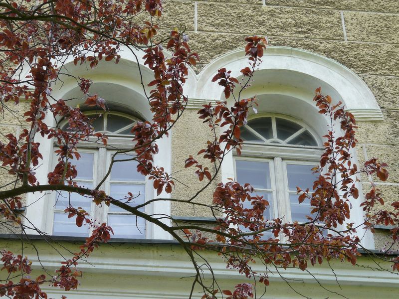 Strzelce-007.jpg