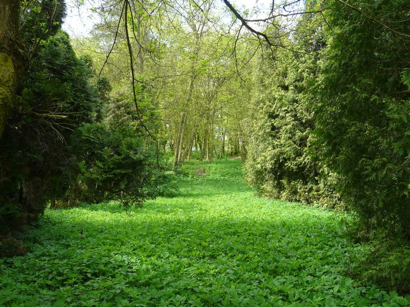 Strzelce-026.jpg