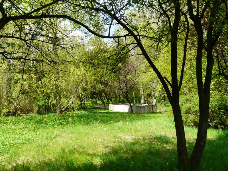 Strzelce-028.jpg