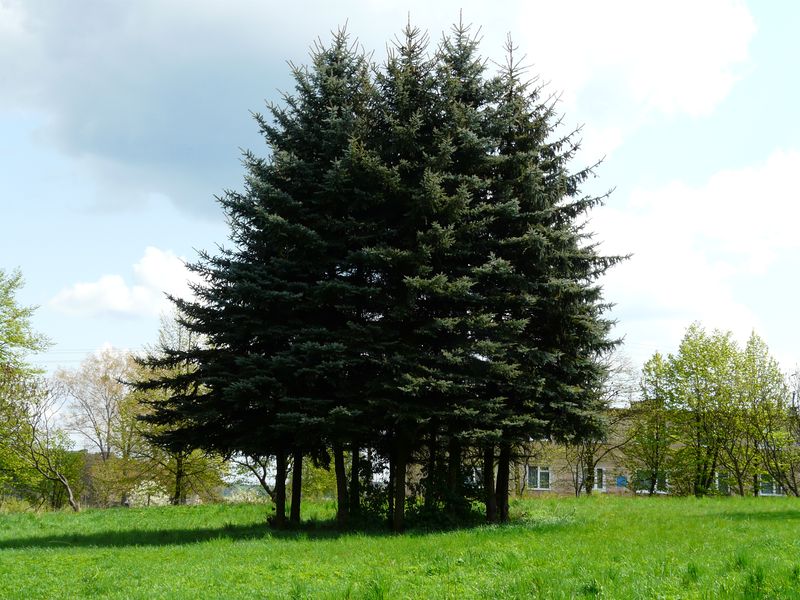 Strzelce-029.jpg