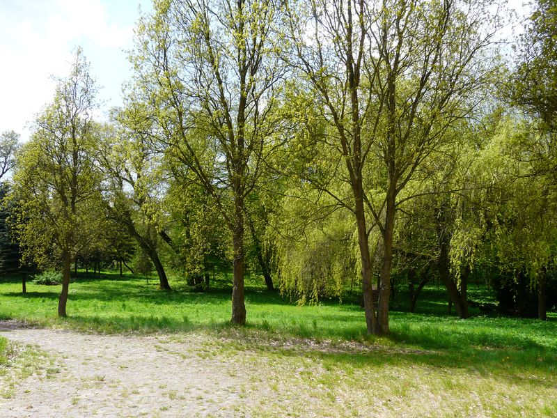 Strzelce-030.jpg