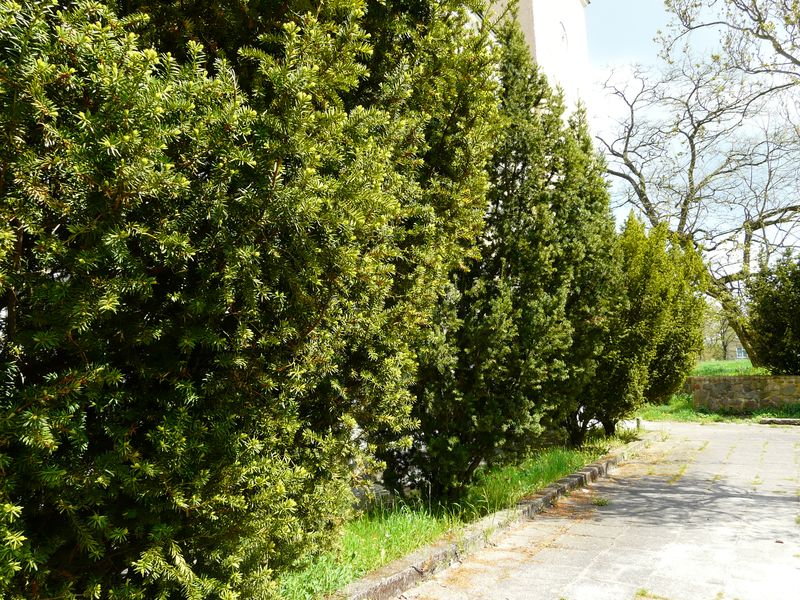 Strzelce-032.jpg