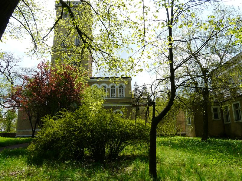 Strzelce-010.jpg