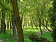 Strzelce-024.jpg