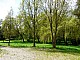 Strzelce-030.jpg
