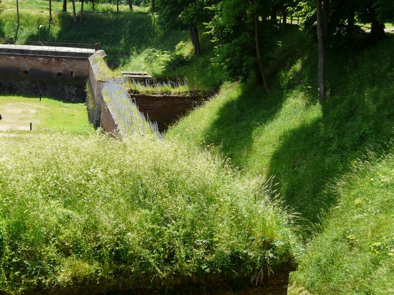 TwierdzaBoyen-032.jpg