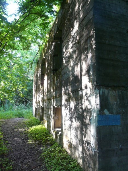 WilczySzaniec-002.jpg
