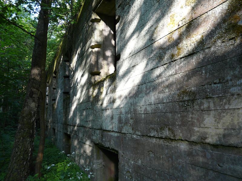 WilczySzaniec-004.jpg