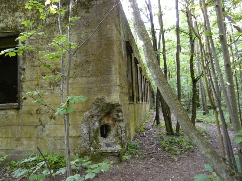 WilczySzaniec-009.jpg