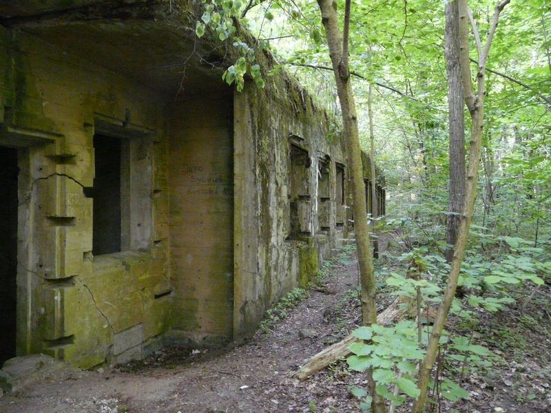 WilczySzaniec-011.jpg