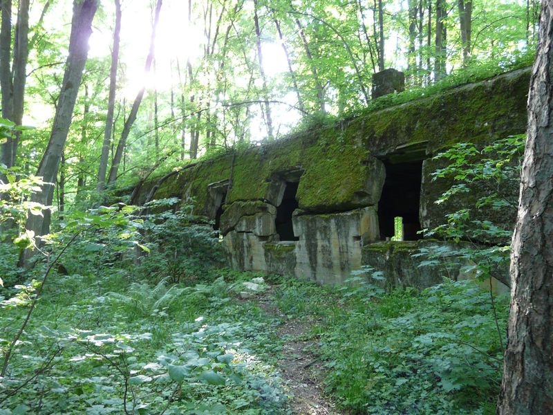 WilczySzaniec-015.jpg