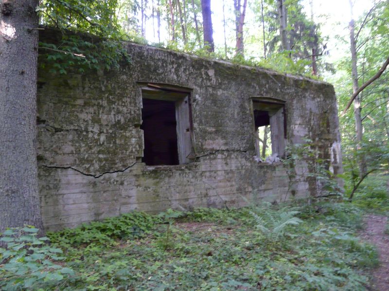 WilczySzaniec-016.jpg