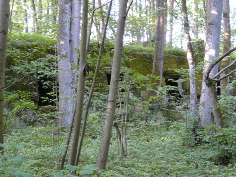 WilczySzaniec-020.jpg