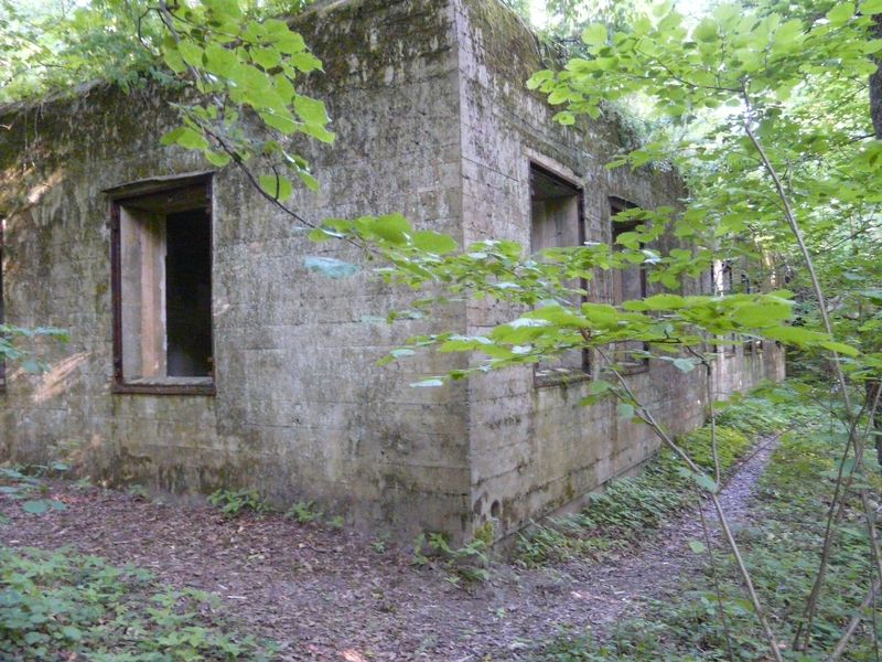 WilczySzaniec-021.jpg