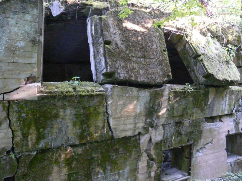 WilczySzaniec-022.jpg