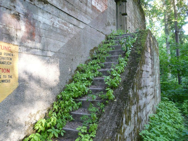WilczySzaniec-023.jpg