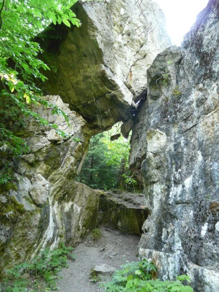 WilczySzaniec-026.jpg