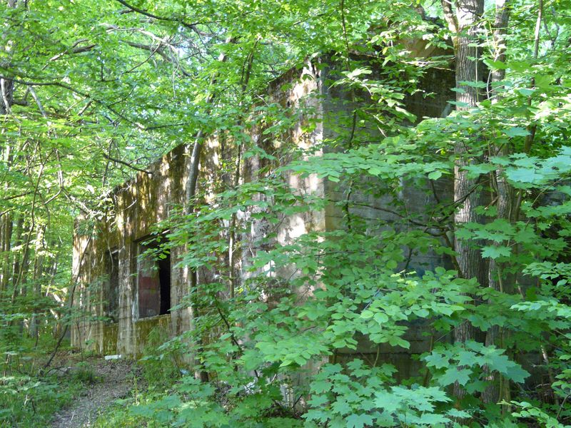 WilczySzaniec-028.jpg