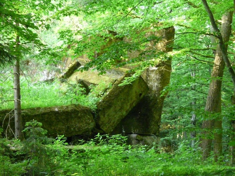 WilczySzaniec-029.jpg