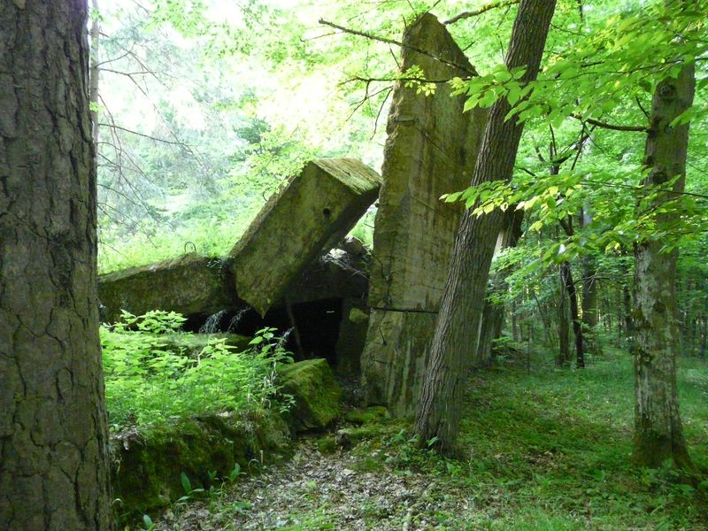WilczySzaniec-030.jpg