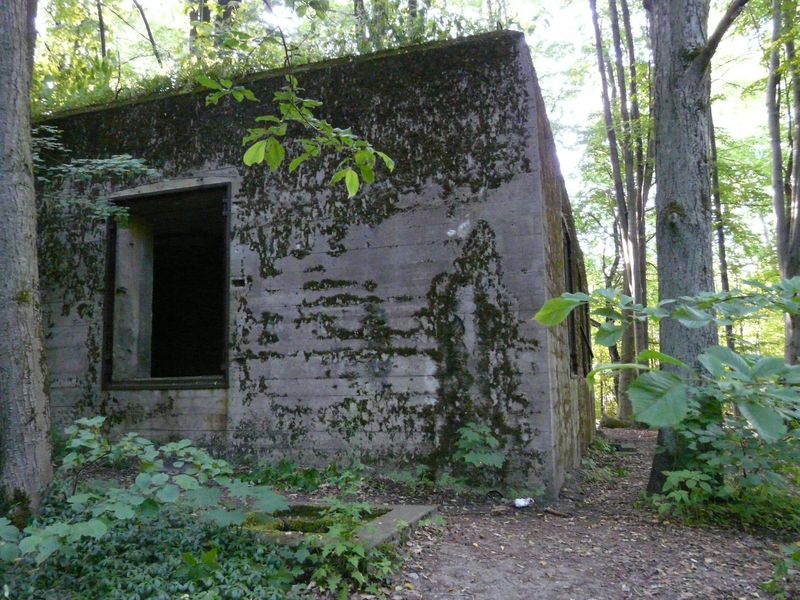 WilczySzaniec-031.jpg