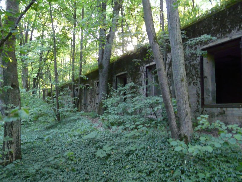 WilczySzaniec-032.jpg