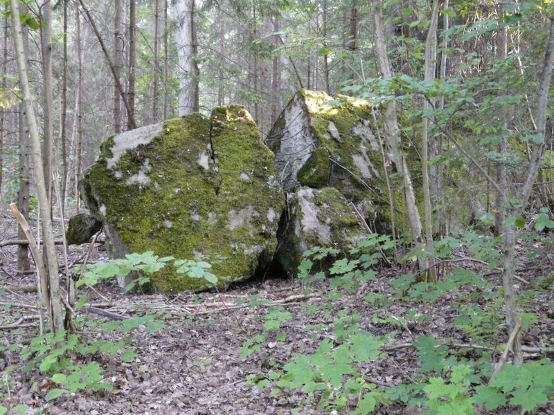 WilczySzaniec-040.jpg