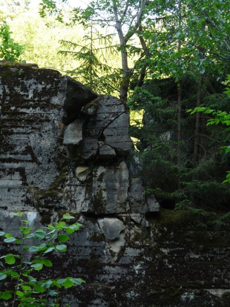 WilczySzaniec-041.jpg