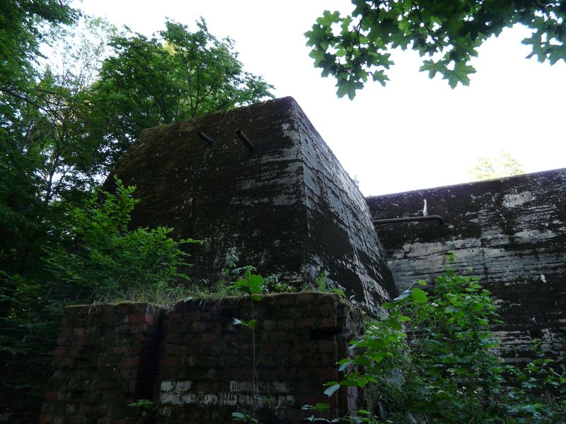 WilczySzaniec-042.jpg