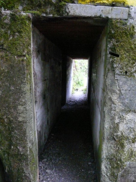 WilczySzaniec-043.jpg