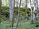 WilczySzaniec-020.jpg