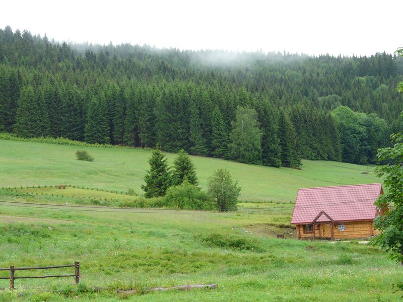 Bielice-003.jpg