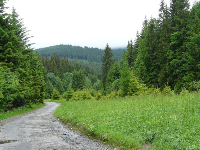 Bielice-027.jpg