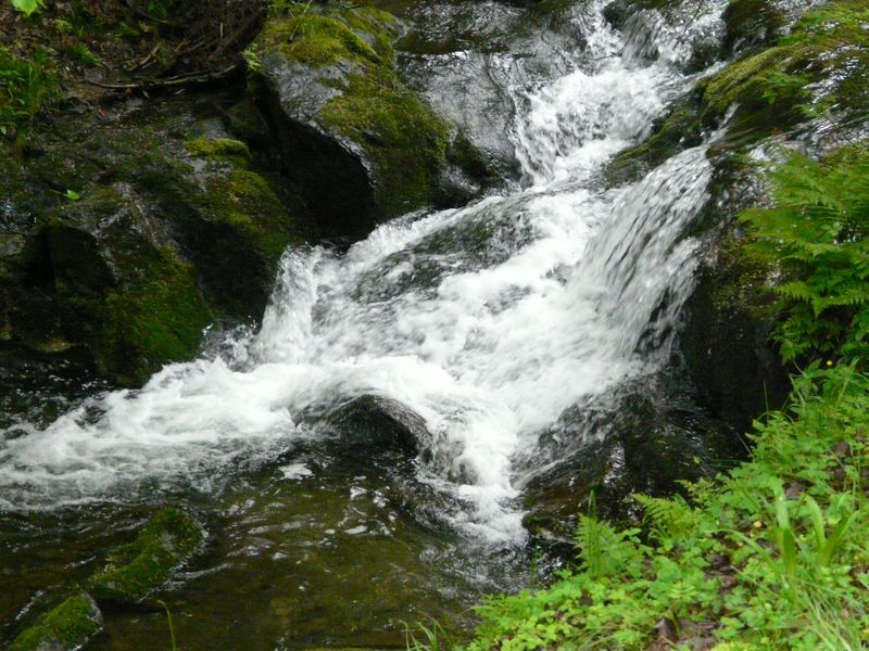 Bielice-029.jpg