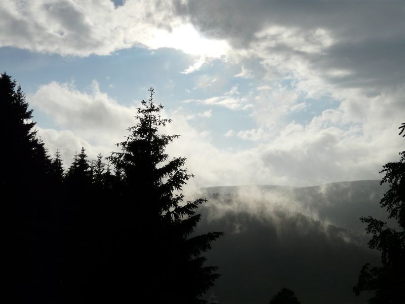 Bielice-047.jpg