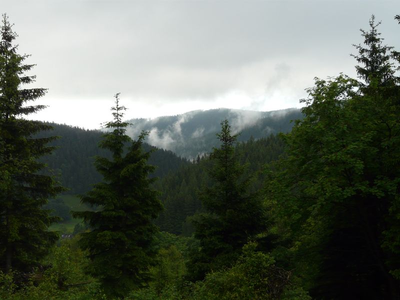 Bielice-049.jpg