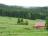 Bielice-003