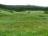 Bielice-009