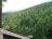 Bielice-011