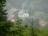 Bielice-045